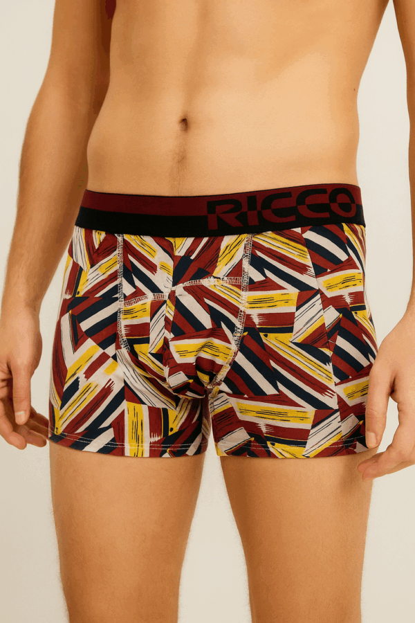 Lycra, Nylon, Microfiber Trunk (pack of 4) - Image 3
